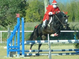 Chevaux